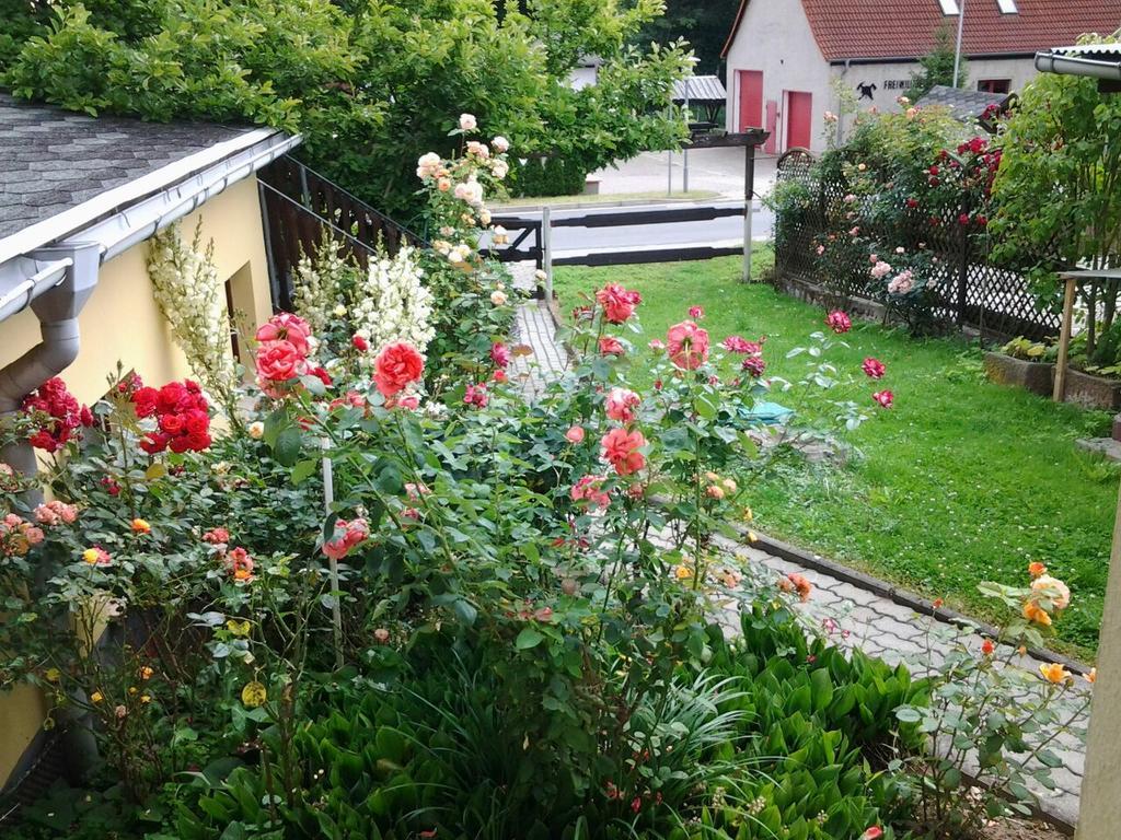 Ferienhaus Waldblick Sangerhausen Eksteriør billede