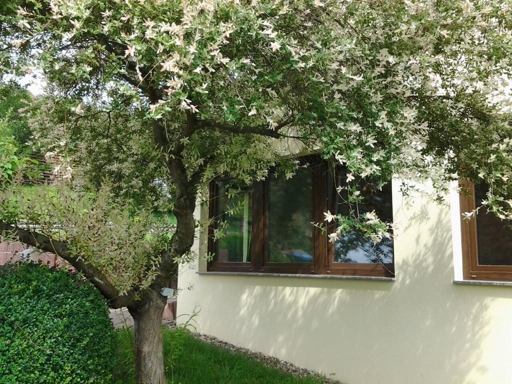 Ferienhaus Waldblick Sangerhausen Eksteriør billede